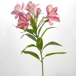 <span class=keywords><strong>Fleur</strong></span> d'alstroémeria artificielle 3D de haute qualité au toucher réaliste pour la décoration d'événements - Product Image 6