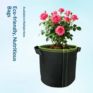 Sac de plantation biodégradable et respirant à bordure verte avec bande adhésive latérale pour la croissance des semis et des jeunes arbres - Product Image 2