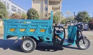 תלת אופן חשמלי מתקדם 2025 גווי לתחבורה ולנוסעים שנשאו בסין - Product Image 4