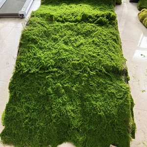 Bloc de mousse artificielle réaliste <span class=keywords><strong>en</strong></span> plastique, découpable, pour plantes suspendues, bonsaïs, terrariums, mariages et projets DIY - Product Image 6