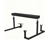 TOPTONS Super Septembre Nouveau Style Plaque Chargée Extension Inversée Gym Machine D'exercice Équipement De Formation De Poids Innovant