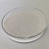 Protease alcaline de qualité alimentaire à haute stabilité pour la hydrolyse des protéines et la libération des acides aminés