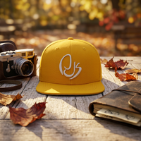 Casquette de sport d'extérieur à visière plate avec logo brodé 3D à 6 panneaux, nouveau style tendance, casquette pour homme