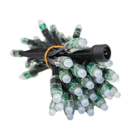 WS2811 LED String Pixels Étanche RGB Pleine Couleur 12mm DC12V Adressable Digital Lights IP68 PVC pour Paysage 500/1000pcs