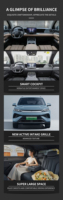 2026 BYD Song Pro DM DM-i 133 км 100-150 кВт Батарея 30 кВт·ч Агрессивный компактный внедорожник