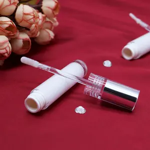 2.8ml novo design personalizado vazio lábios gloss, tubo de parede dupla elegante garrafa redonda gloss labial com varinha de prata lábio embalagem de cosméticos