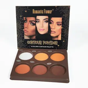 Le maquillage du visage 6 couleurs couvre entièrement la palette de poudre de maquillage mat imperméable pour les peaux foncées