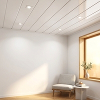 Faux plafond suspendu blanc en pvc, 250mm, prix d'usine, panneau mural, à rainures, blanc, en promotion