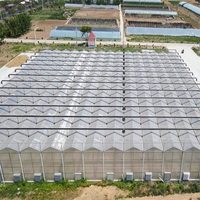 Feuille de polycarbonate agricole multi-travées recouvrant la serre à structure en acier Venlo pour une utilisation hydroponique