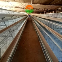 Un type 96 / 120 / 128 / 160 oiseaux 3/4 niveaux cage à poulet de couche automatique pour ferme avicole