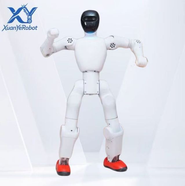 Smart Bumi Humanoid Robot 21 DoF Programmable Interactive Dancing Robot for Education and Home Use
