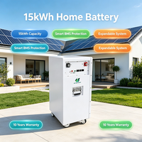 Batterie Power Wall 15 kWh 51,2 V 300 Ah LiFePO4 Système de stockage d'énergie domestique 6000 cycles Bluetooth BMS CE
