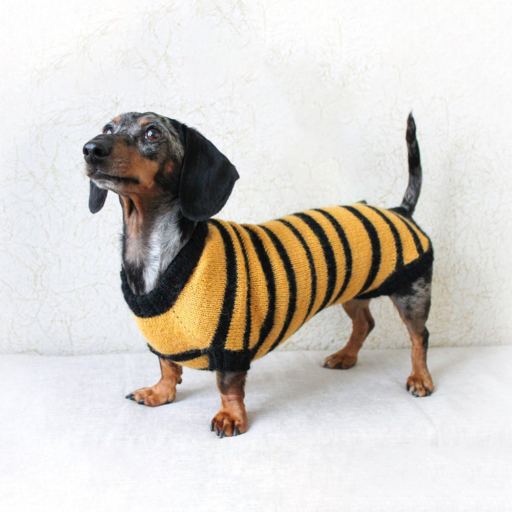 Boutons Fantaisie 3D Dress It Up : Puppy Parade (Défilé De Chiots) - Neufs