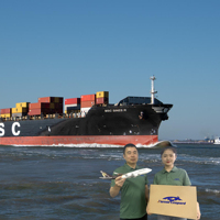 Service de Sourcing Gratuit Chine Fret Maritime Pas Cher Agent d'Expédition Internationale à Shenzhen Guangzhou vers les États-Unis Canada Royaume-Uni DDP