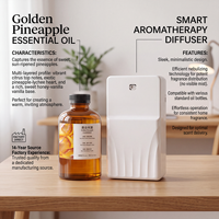 Diffuseur d'arômes fruités, huile parfumée très vendue, longue durée, sans eau, pour machine à parfum commerciale