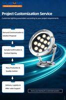 Luz LED Sumergible para Piscina, Estanque o Fuente, IP68 Impermeable, Acero Inoxidable 201, 3W-36W, 12V