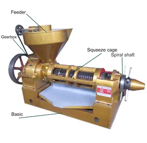 Máquina de prensado de aceite de soja, 10TPD, precio de fábrica