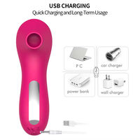 Tragbarer Kleiner Delfin-Vibrator mit Rosenform für Klitoris-Stimulation, 10 Frequenzen, USB-Aufladung, Sexspielzeug für Frauen