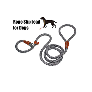 Tali Slip kepang latihan anjing tanpa tarik, tali timbal tugas berat ramah lingkungan sederhana poliester padat unik - Product Image 4