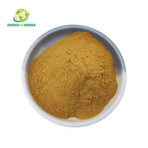 Estratto di semi di finocchio di alta qualità in polvere semi di finocchio in polvere - Product Image 3