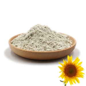 Yapay tatlandırıcılar olmayan süt olmayan gdo Vegan glutensiz % kabak çekirdeği Protein tozu olmadan organik bitki bazlı Protein tozu - Product Image 2
