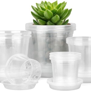 Bac respirant en plastique rigide haute transparence <span class=keywords><strong>pour</strong></span> semis d'orchidées Phalaenopsis, succulentes et Dendrobium Officinale, avec contrôle des racines - Product Image 2