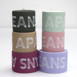 <span class=keywords><strong>2025</strong></span> thời trang mới nhất Nylon Jacquard ban nhạc đàn hồi logo riêng quần áo may dây thắt lưng - Product Image 2