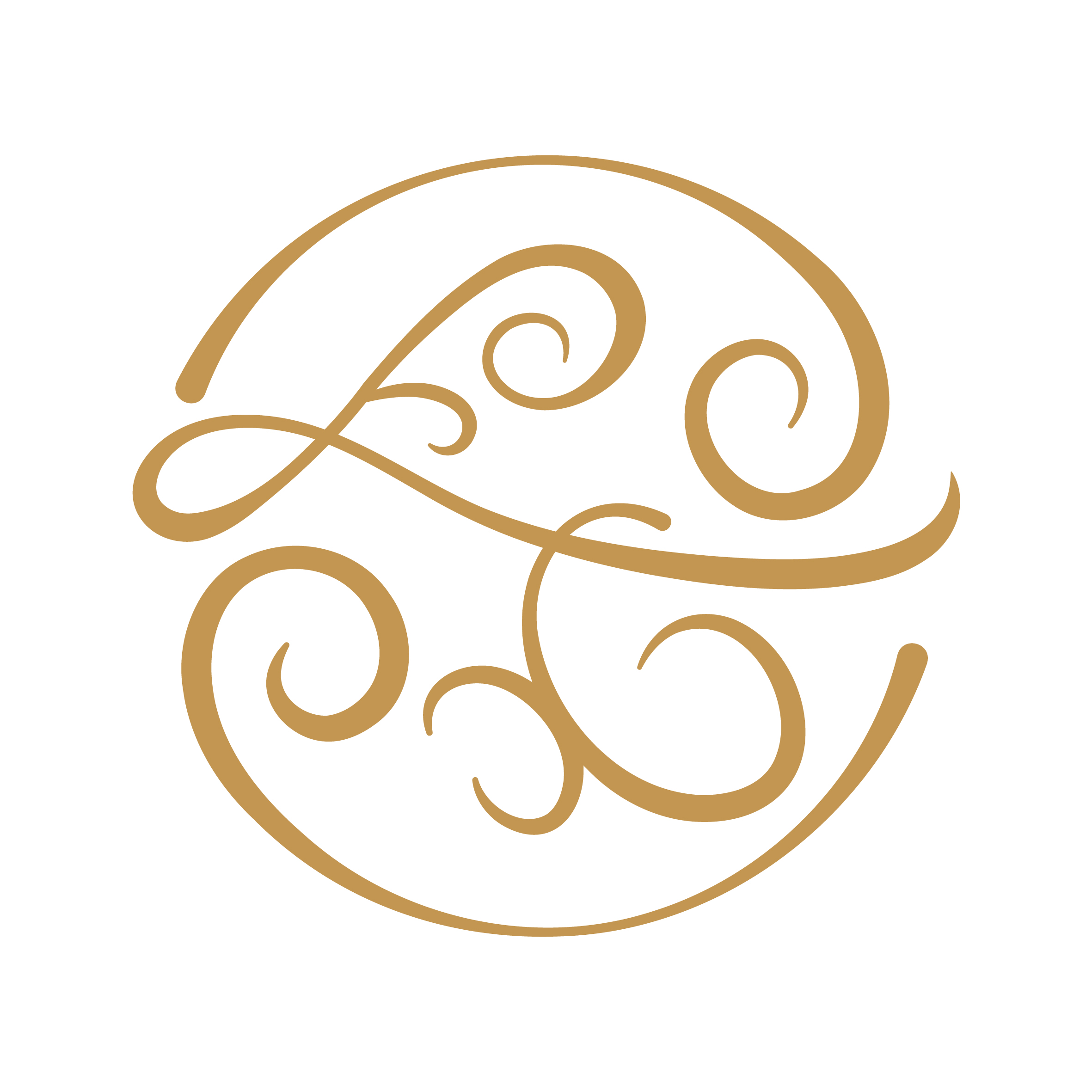 Shenzhen Zexi Intelligent Electronics Co., Ltd. logo