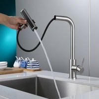 Mélangeur d'eau en acier inoxydable personnalisé, robinets d'évier de cuisine chauds et froids noirs, robinets d'évier de cuisine rétractables