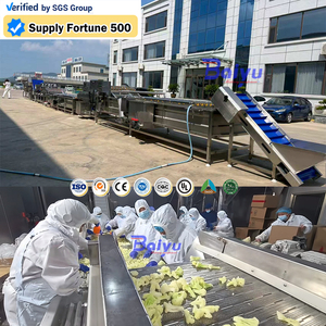 Ligne de lavage et de traitement des légumes industrielle Baiyu avec machine de nettoyage à bulles et de séchage pour usage en usine - Product Image 2