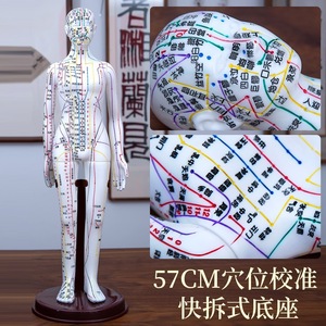 Petit modèle de points d'acupuncture de moxibustion en cuivre modèle de méridien d'exercice de forme humaine de douze corps entier pour la médecine chinoise - Product Image 4