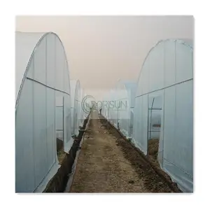 Cerclage de vent Double couche en plastique Walk In Tunnel Créer des fruits Tomates Culture de champignons à dessus ouvert dans les serres