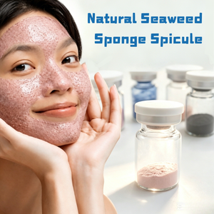 Kit de peeling en poudre d'algues, boue volcanique, éliminateur d'acné, spicules de Spongilla naturels, peeling bio, exfoliant pour le visage, éliminateur de taches brunes - Product Image 1