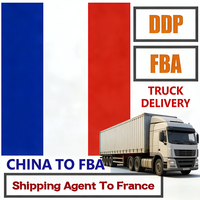 DDP Luft- und Seefracht Express Tür-zu-Tür-Versand von China nach Frankreich, Amerika, Afrika, Asien, Europa UPS/DHL/FedEx/TNT
