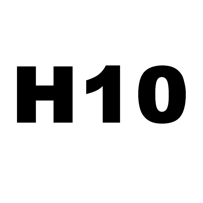H10