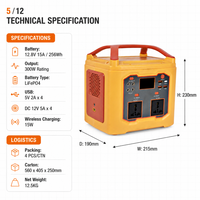 Station d'alimentation portable 300W, batterie LiFePO4 256Wh, générateur solaire, onduleur à onde sinusoïdale modifiée, type C, 4x lumières d'ambiance