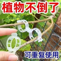 Lot de 100 attaches pour plantes de jardin, clips de fixation pour tomates, attaches pour tiges de légumes, pour melons et concombres