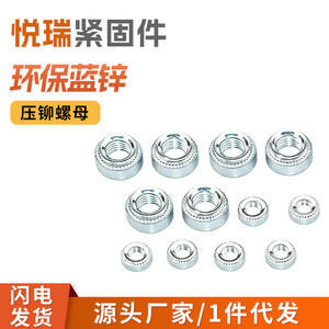 Tuercas de presión Yue Rui M2 M2.5 M3 M4 M5 M6 M8 M10 M12, zincadas en azul, para equipos de transporte ferroviario - Product Image 1