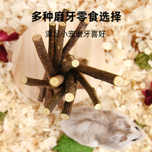 Bâtonnets à mâcher pour petits animaux, branches de pomme, 500g, durables, pour jouets de hamster, lapin, chinchilla - Product Image 1