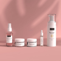 Ancel-extracteur buccal OEM, Kit de soins pour la peau naturelle, hydratant, Spray d'eau Rose, tonique, blanchiment, coffret de soins pour le visage