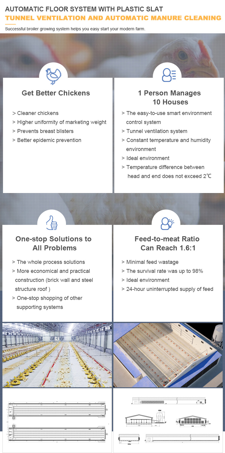 PP Material Automatic Poultry Feeder For Broiler CE Certification