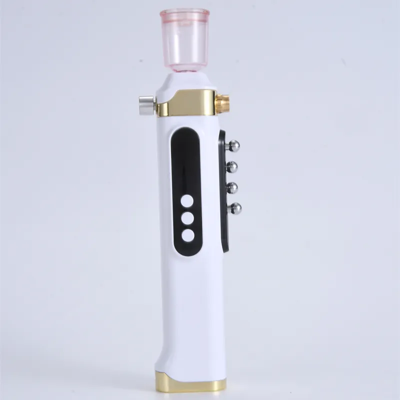Mini machine portative électrique de pulvérisateur de brume faciale hydratante nano ionique professionnelle de beauté