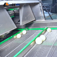 500 kg/u Uienschiller Uienschil- en snijmachine Ui poeder productiemachine Gemberdroger Ui poeder productielijn