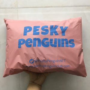 Sac d'expédition pour vêtements pour animaux de compagnie, emballage d'expédition par courrier, vente chaude, prix d'usine, logo personnalisé, pochette en polyéthylène pour vêtements - Product Image 3