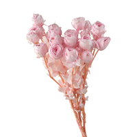 Nouveaux produits Roses préservées avec tige naturelle Différentes couleurs disponibles Fleurs préservées pour bouquets