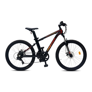 Vélo de montagne électrique sportif 250W du Canada avec moteur de moyeu arrière, batterie au lithium, cadre en aluminium sans balais, étanche, pour livraison de repas - Product Image 1