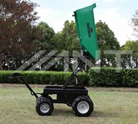 ANT EBY500L Elektrischer Mini-Dumper mit Hebefunktion Raupenketten-Schubkarre Motorisierte Schubkarre