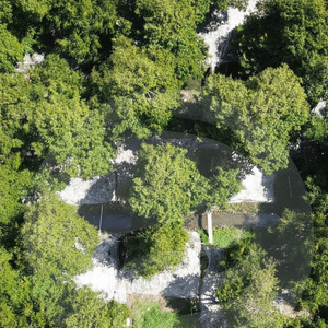 Film de paillage agricole pour le contrôle des mauvaises herbes, conçu comme une solution durable sans produits chimiques, utilisée dans l'agriculture moderne - Product Image 1