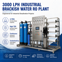 Installation de traitement d'eau saumâtre industrielle par osmose inverse (RO) de 3000 LPH montée sur châssis