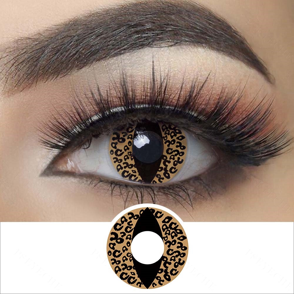 Oeil de chat marron RY24